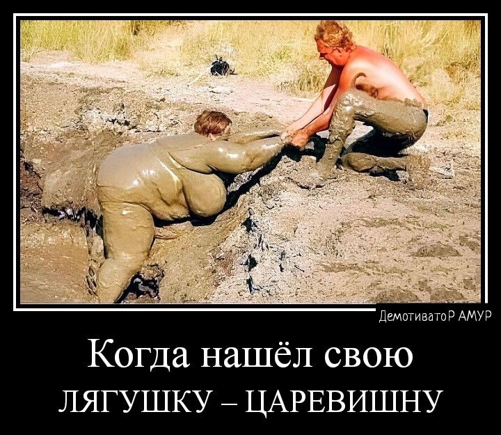 Когда нашёл свою лягушку ЦАРЕВИШНУ