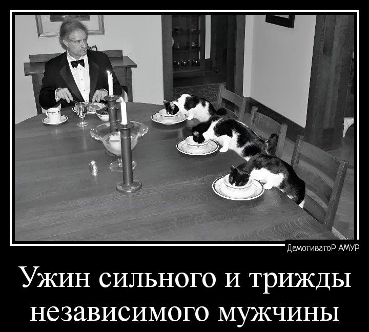 УЖИН СИЛЬНОГО И ТрИЖДЬ1 НЁЗЗВИСИМОГО МУЖЧИНЫ