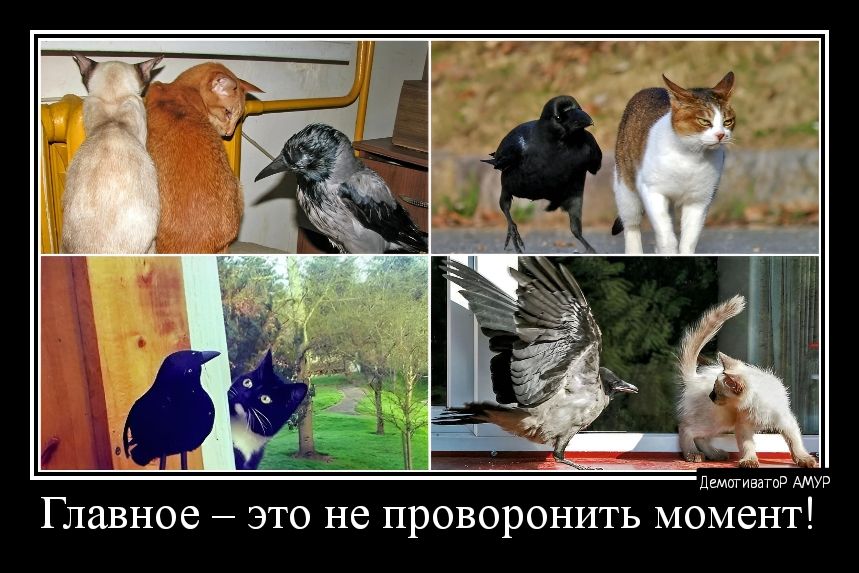 Главное ЭТО не ПрОВОрОНИТЬ МОМСНТ