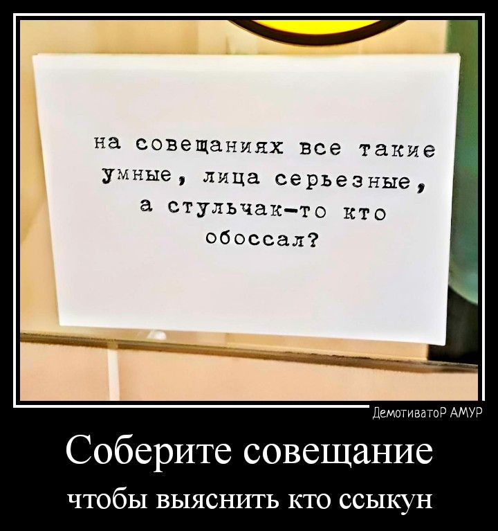 на совещаниях все такие умные лица серьезные а стульчактс кто обоссал Соберите совещание ЧТОбЬТ ВЬТЯСНИТЬ КТО ССЬТКУН