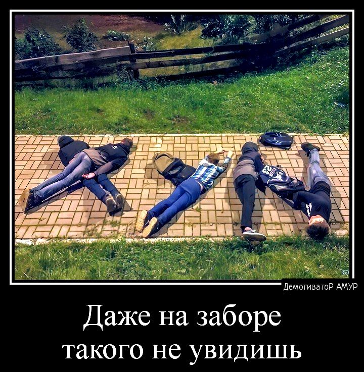 Лез шмат АМУР Даже на заборе такого не УВИДИШЬ