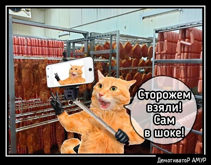 додатиьаюр АМУР