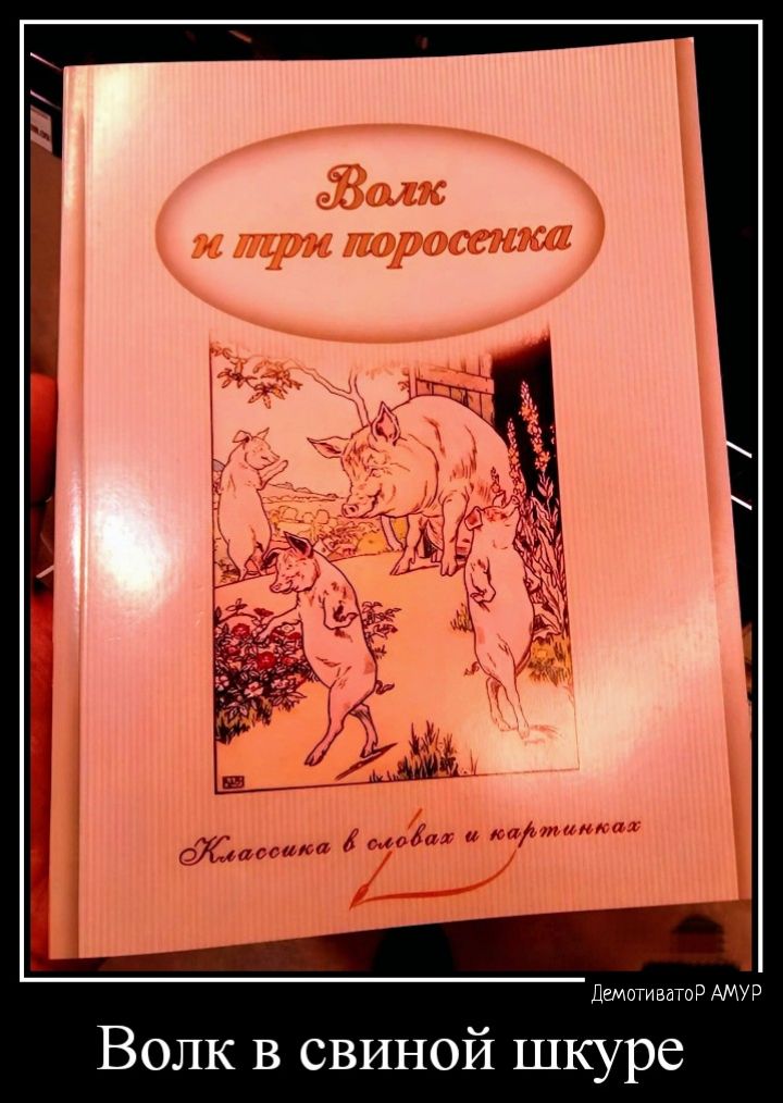 Волк в свиной ШК е