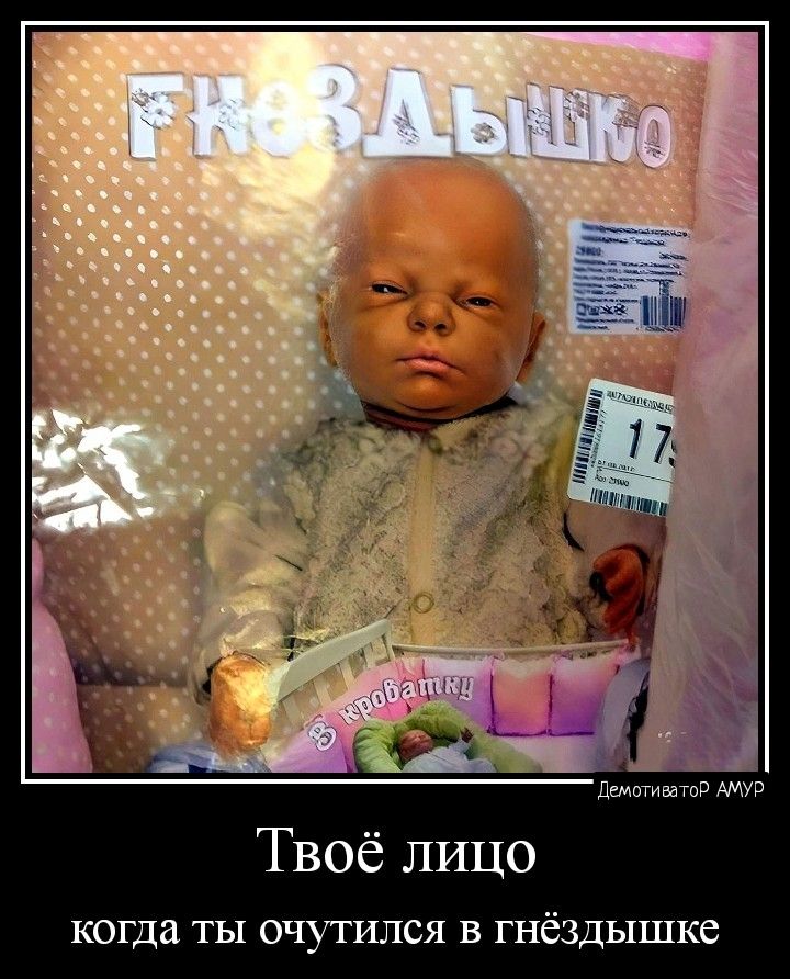 щитами мав Твоё лицо КОГДВ ТЫ ОЧУТИЛСЯ В ГНЁЗДЫШКС