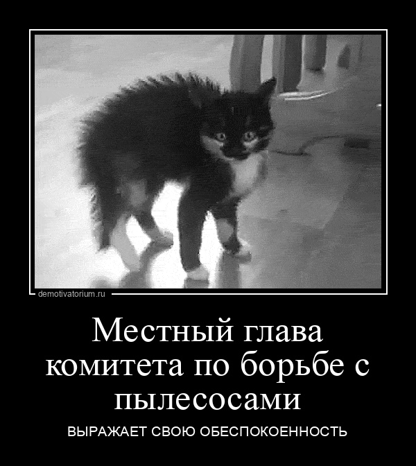 Местный глава комитета по борьбе с пыле СОС аМИ ЕЫРАЖАЕТ свою овгспоковнность