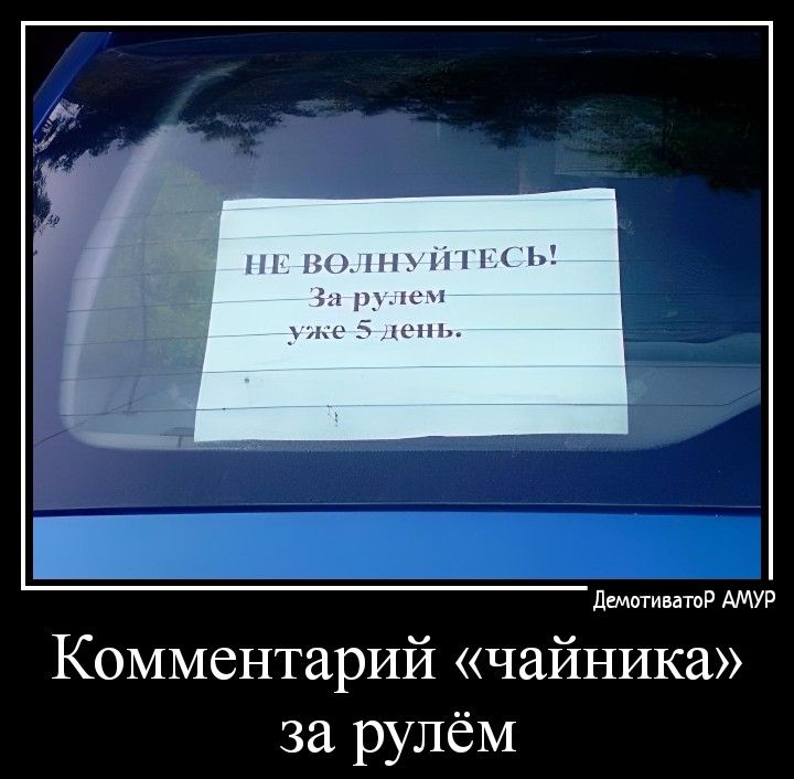 пн П С Комментарий чайника за рулём дмтивашР АМУР