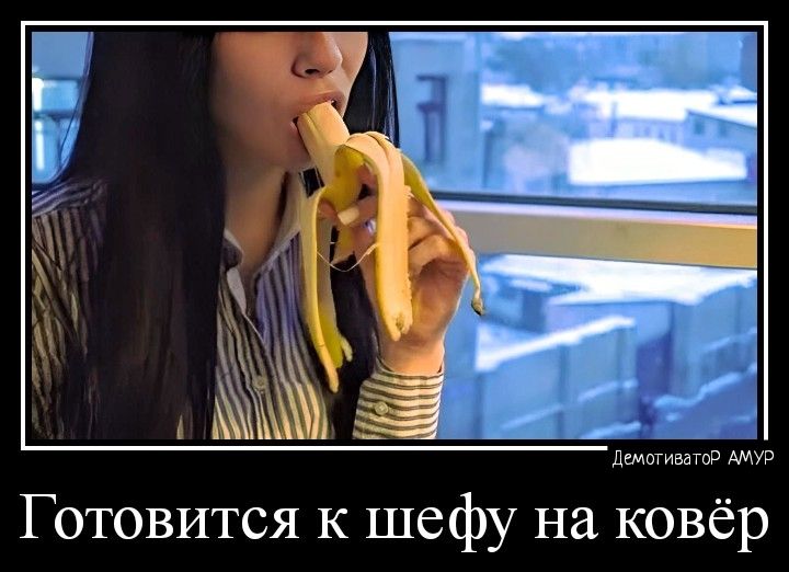 отовится к шефу на ковёр