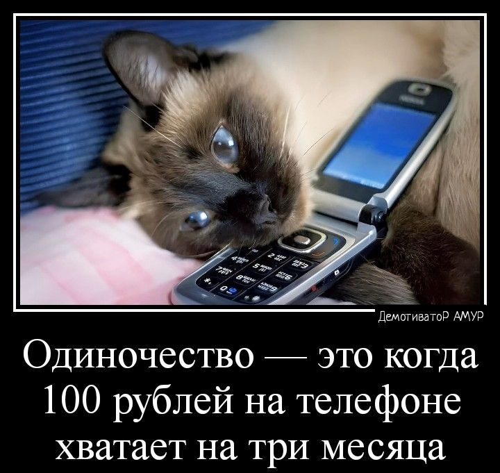 Одиночество это когда 100 рублей на телефоне хватает на три месяца
