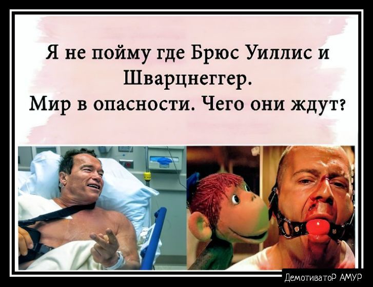 Я не пойму где Брюс Уиллис И Шварцнеггер Мир в опасности Чего они ждут