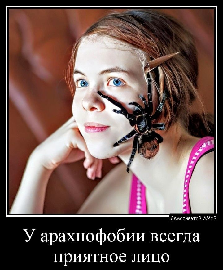 ними 79 У арахнофобии всегда приятное лицо