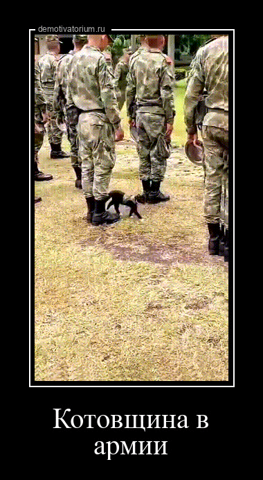 Котовщина в армии