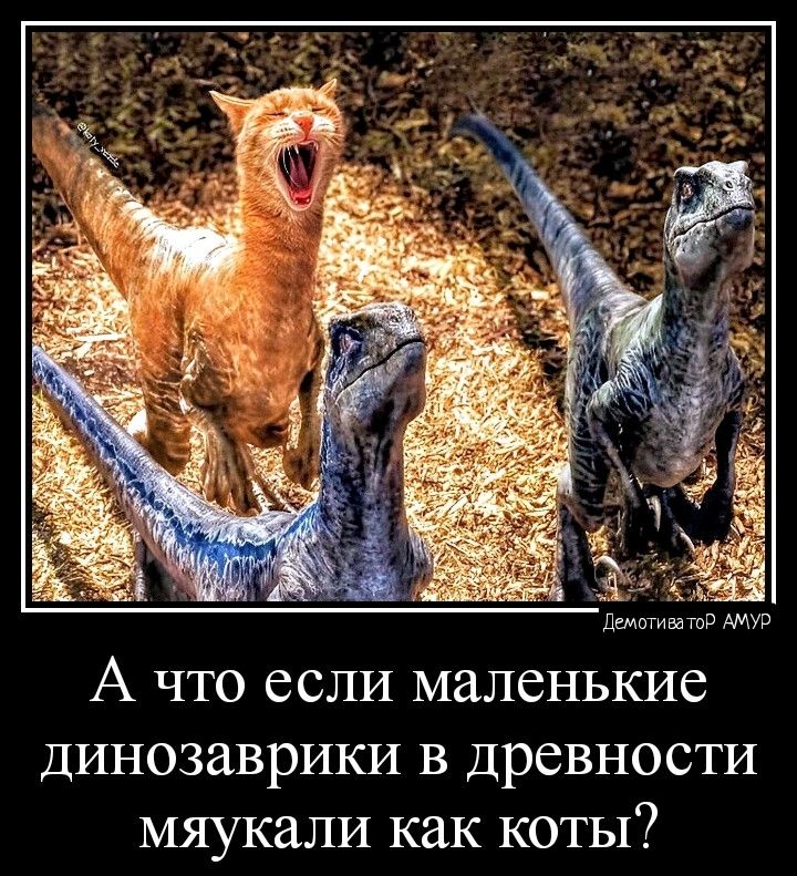 имамата А ЧТО ССЛИ МЛСНЬКИС динозаврики в древности мяукали как коты
