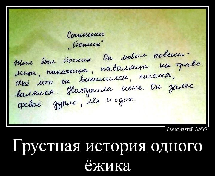 Грустная история одного ёжика