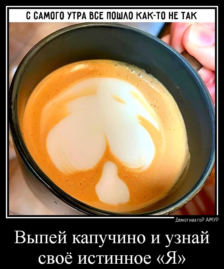 С САМПГО УТРА ВСЕ ПОШШ КАК ___ ТО НЕ ТАК Выпей капучино И узнай своё истинное Я