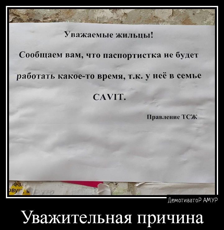 шипспгиыо жильцы Синбшисч ч ниспорпіпка гц нбоппь шитош врет неё и семье П п к к дм мдм лм и УВЗЖИТСЛЬНЗЯ причина