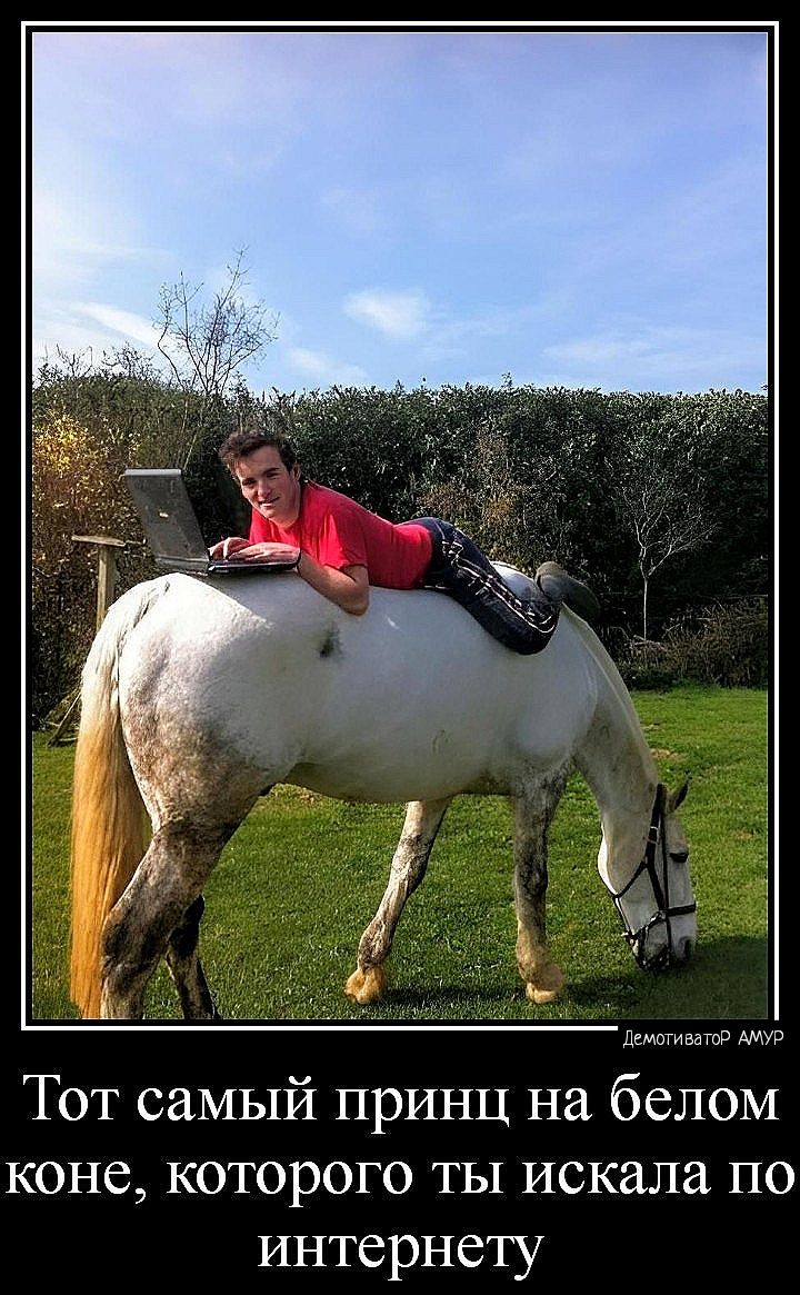 Тот самый принц на белом коне которого ты искала по интернету