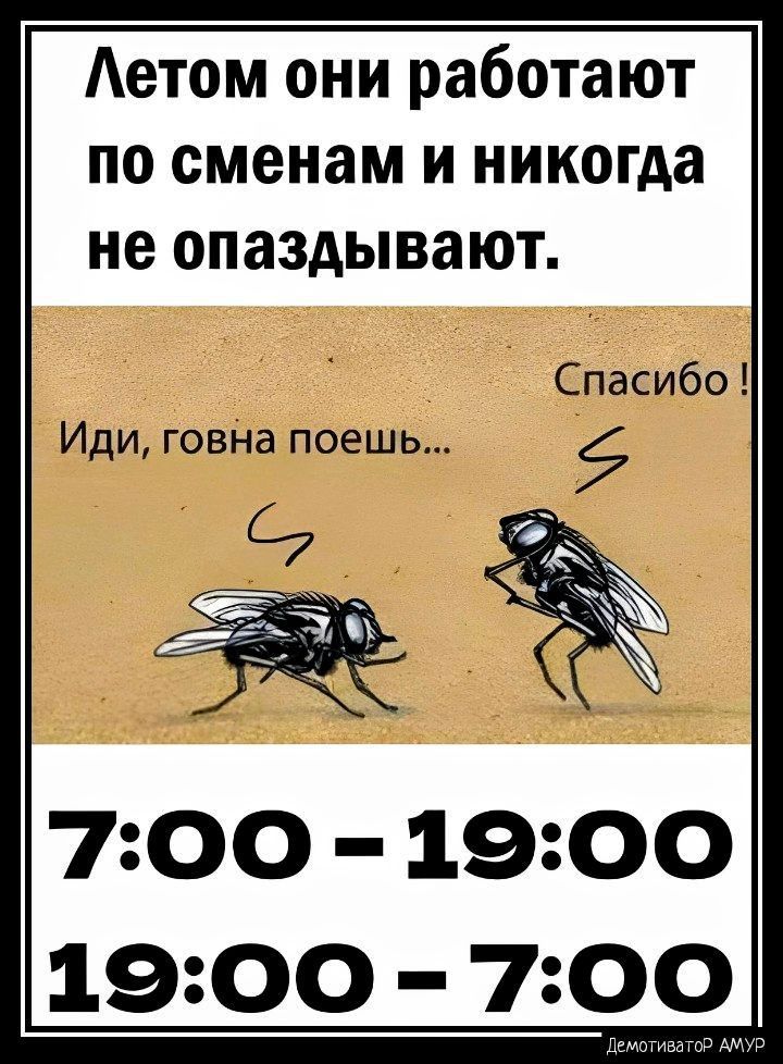 Аетом они работают по сменам и никогда не опаздывают Спасибо Иди говна поешь 700 190 1900