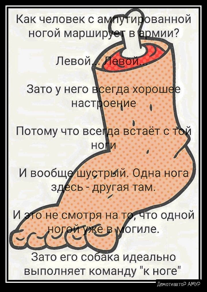 Как человек с а ногой маршир Левой Зато его соака идеально выполняет команду к ноге