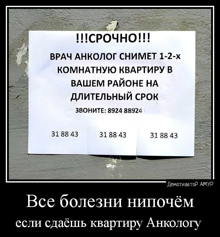 СРОЧНО врдч Анколог снимет 11 х комнмную КВАРТИРУ в ВАШЕМ РАЙОНЕ нА длитшьный срок звонит в изи 318843 3188123 313343 _ _Цгшппг ж Все болезни нипочём если сдаёшь квартиру Анкологу