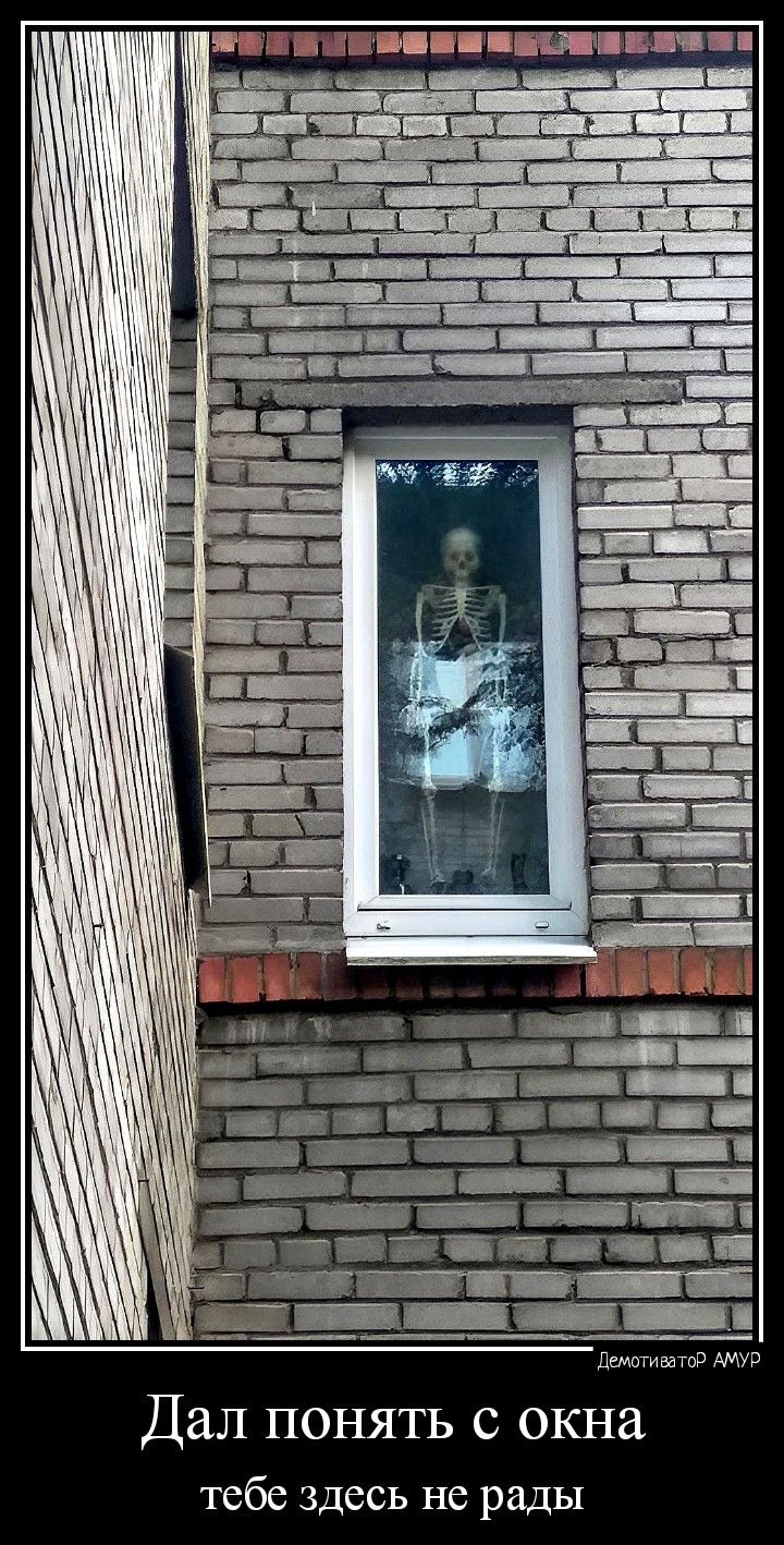 Дал понять окна тсбс здесь не рады
