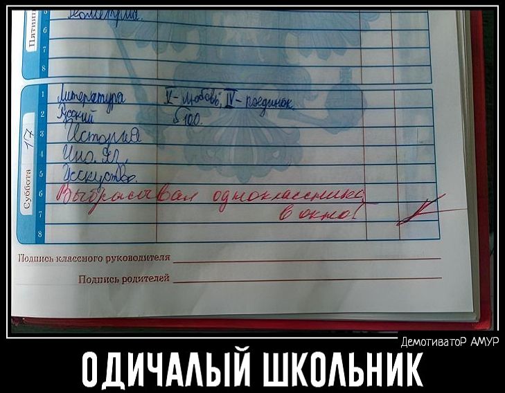 дммо шип ПДИЧААЫЙ ШКПАЬНИК