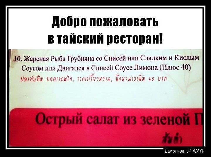 добро пожаловать в тайский пвптопаи шлют и мыминь ишшимшым Со ппссй _ Пихюпи Плюс 40 Ослрып А и иной