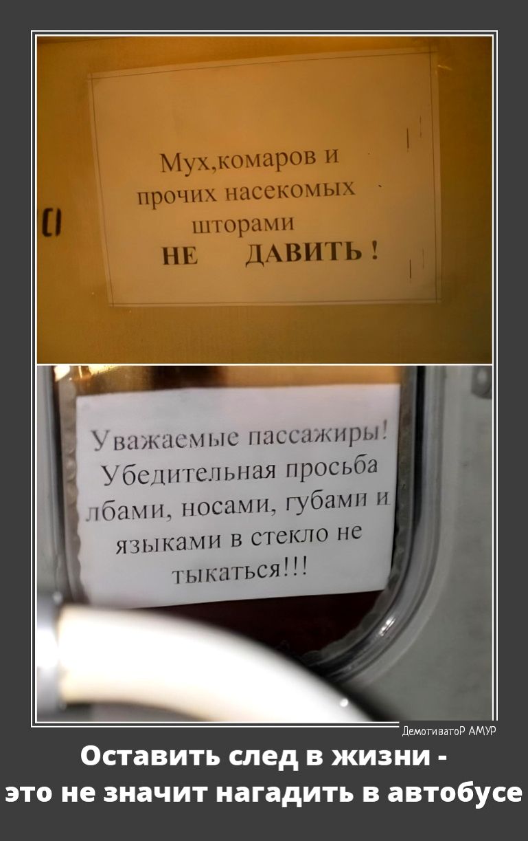 впжасмыс пассажиры Убедительная просьба лбами носами губами и языками в стекло нс тьжаться итд о Оставить СЛЕД В ЖИЗНИ это НЕ значит нагадить В автобусе