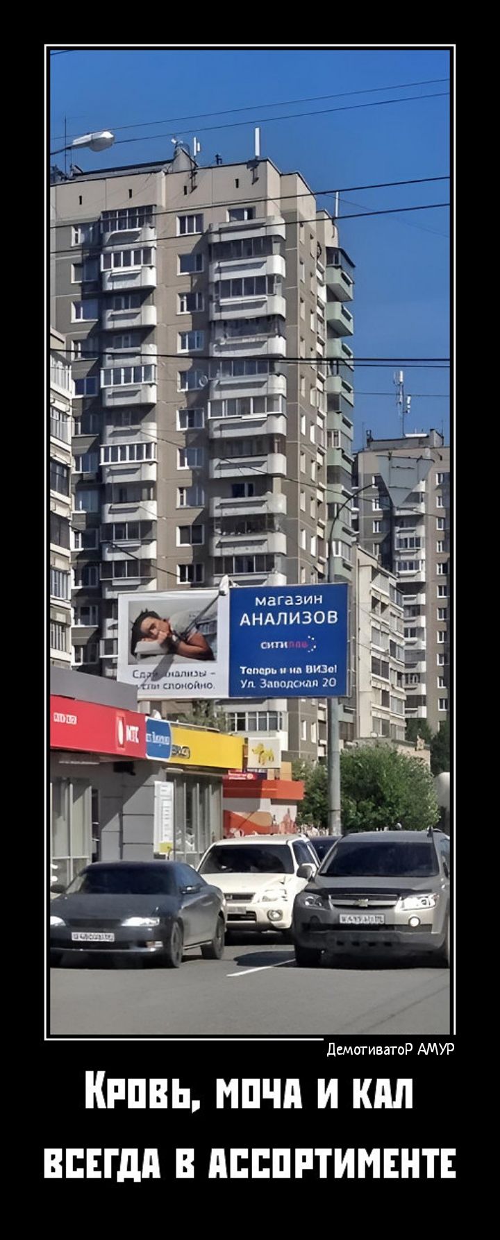 Дышинппр АМУР Кппвь мпчп и кпп впвгдп ппппптимннт