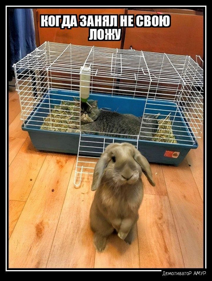 ноГДА ЗАНЯЛ НЕ СВОЮ ЛОУ