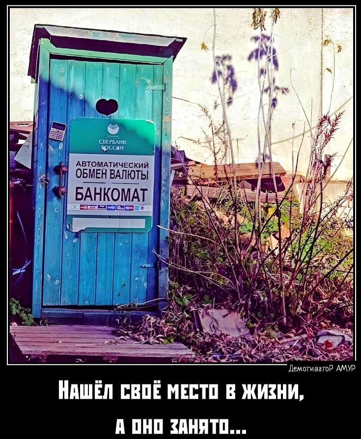 Нишіп впі мтп в жизни и пил пиптп