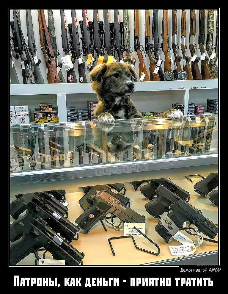 ППТПШЫ ШШ дЕЬГИ ПРИНТ ТППТИТЪ