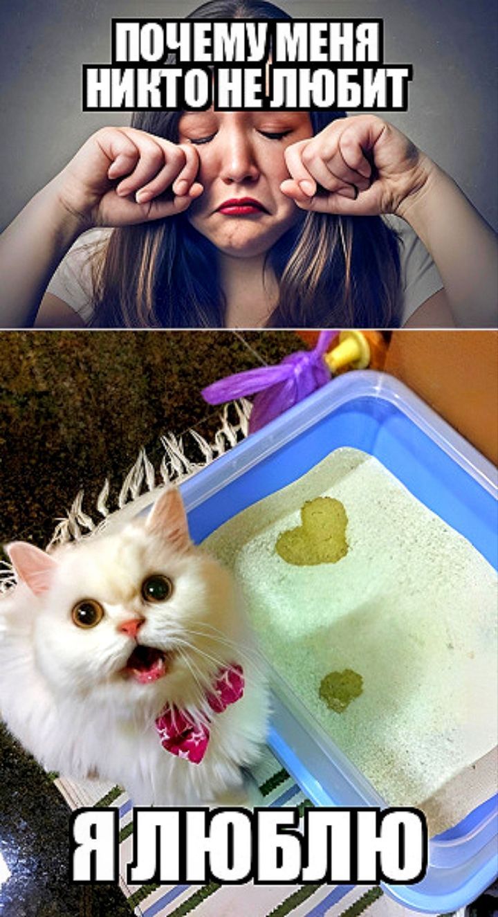 тимштм никто нвдювит _