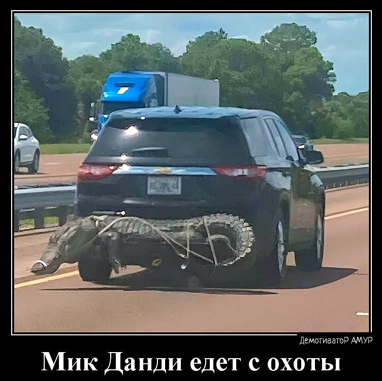 лмт эми Мик Данди едет с охоты