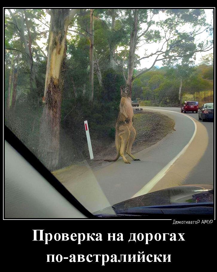Проверка на дорогах поавстралийски