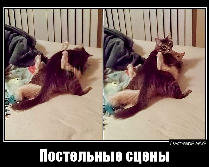 ВБТЕПЪПЫЁ сцены