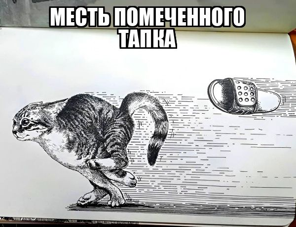 МЕСТЬПОМШЕННОЮ ШМ