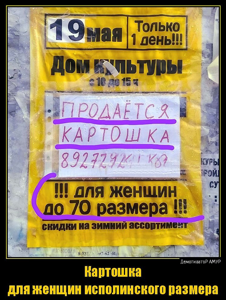 1_ 9мап 3228 дом Щпьпшы 151 дпя женшин 70 размера МШД ПИШИЙ МШШИИЕЕП ППШ для ЖЕНЩИН ИСПОПИИБИСЮ ПЯЗМЕПП