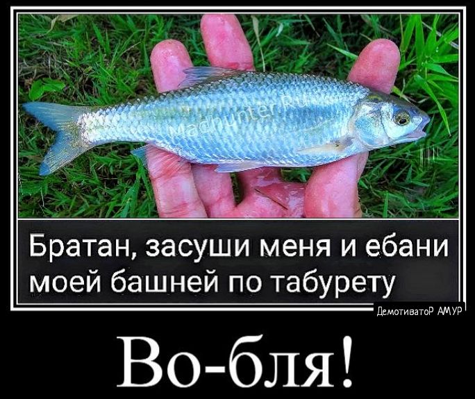 Братан засуши меня и ебани моей башней по табурету Во бля