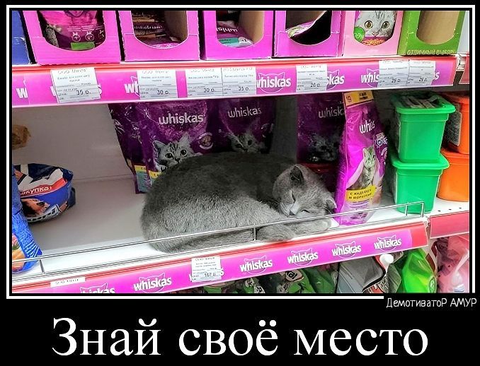 Знай своё место