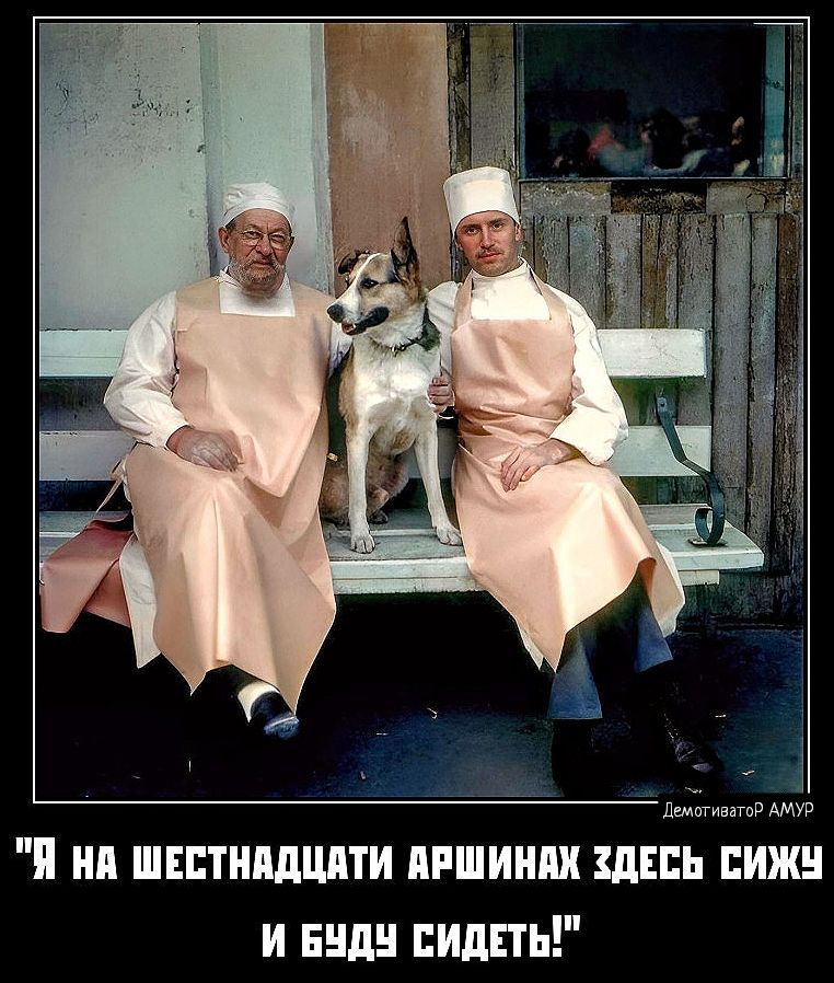 я ни шитишшти пишиш шин птиц и виды вишь