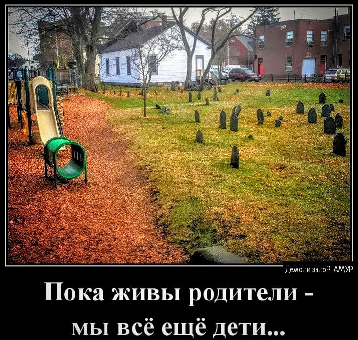 цтч мм Пока живы родители мы всё ещё дети