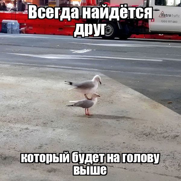 3ж3 ВПТ