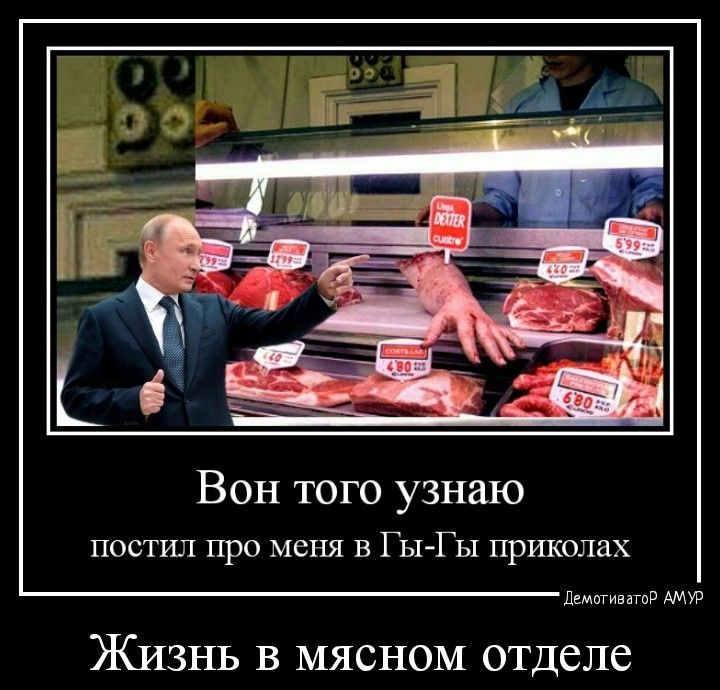 Вон того узнаю постил про меня в ГьъГы приколах им Жизнь в мясном отделе