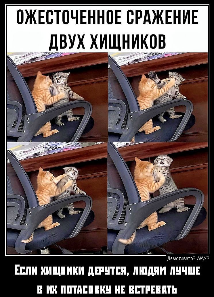 ОЖЕСТОЧЕННПЕ ВРАЖЕНИЕ _ ЕШИ ИИШИКИ ПЕРЦТЕП ШШШ ШШШ ИК ППТПШПК ПЕТРЕПТЪ