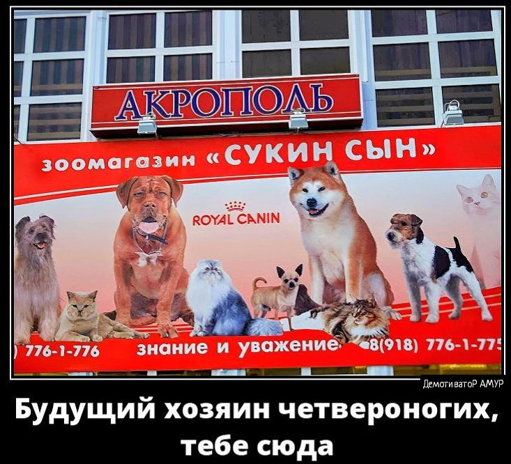 замі пол 115 знание и уважение 9 пыл п _ _ _ Будущий хозяин четвероногих тебе сюда