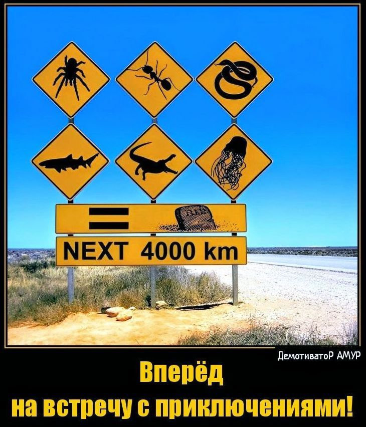 МЕХТ 4000 Кт демпинга Вперёд иа ВБТПШШ ППШШЮЮИИПМИ