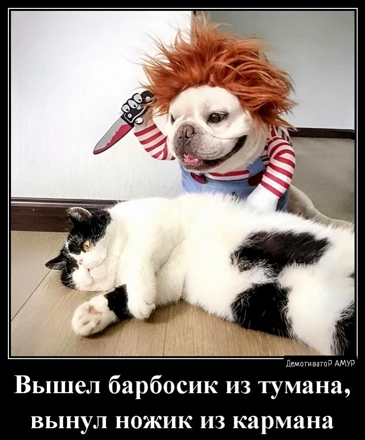 Вышел барбосик из тумана вынул ножик из кармана