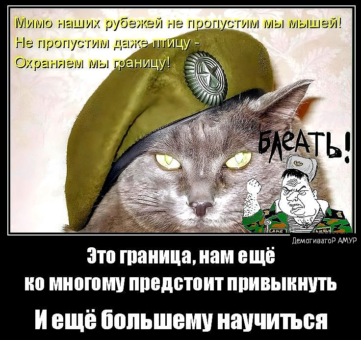 Мишю нашии зубе Не пропусгим д ЭТВ папина нам ЕЩЁ МПММШ предстоит ИВЫШУП и ещё Большими научиться