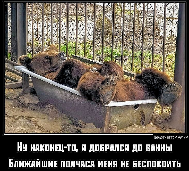 ЕПИЖПЙШИЕ ПППМЕП МЕНЯ ЕЕВПШШИТН
