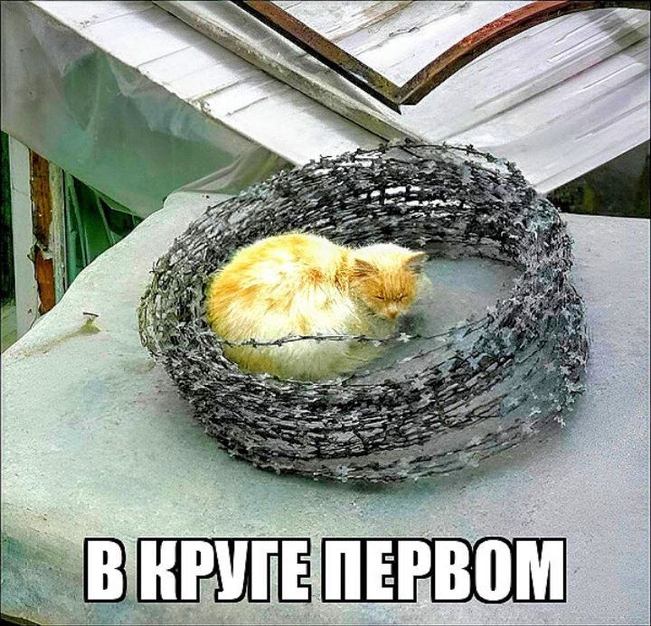 Ё _